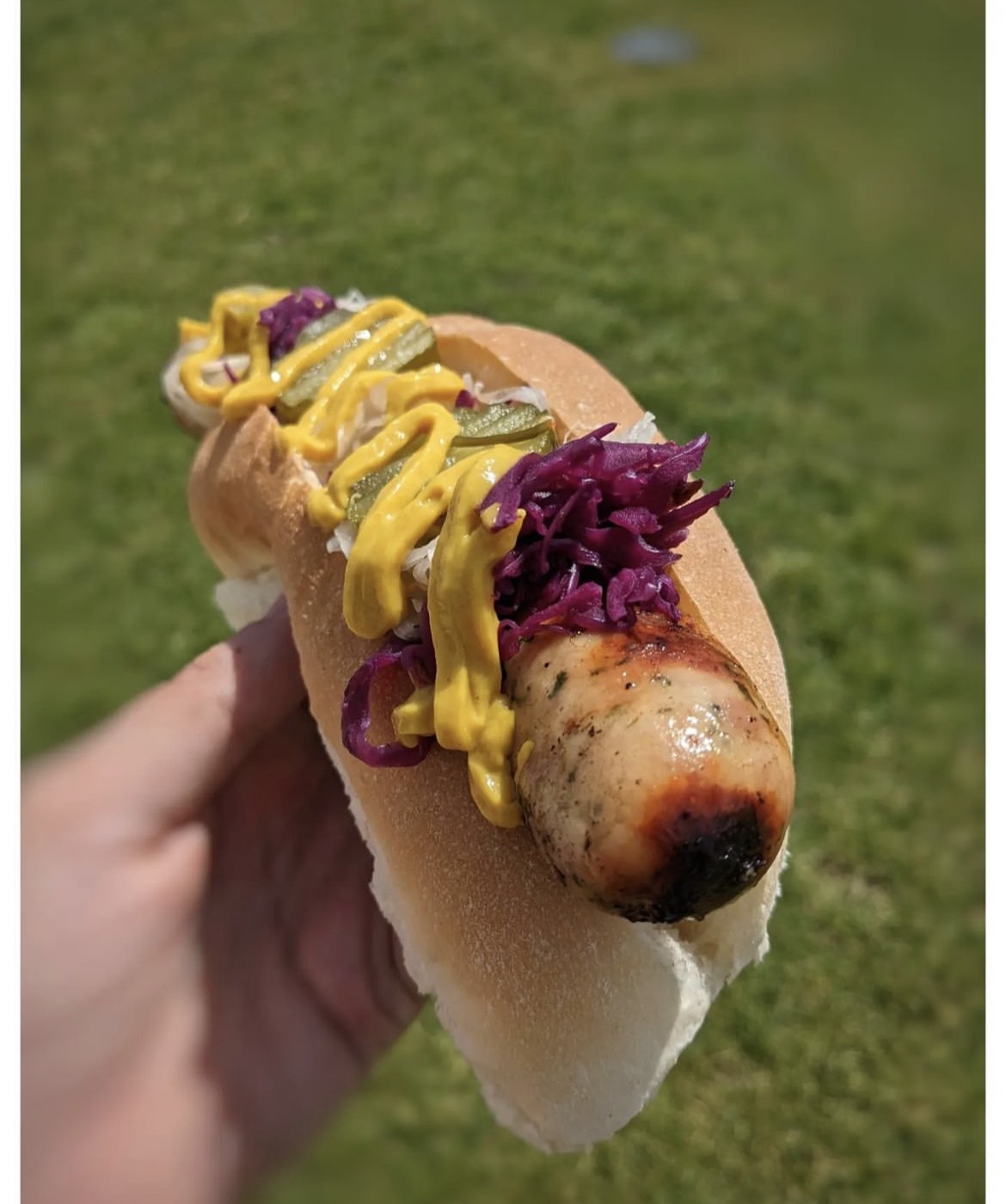 Hot dog topped with mustard, pickles and red cabbage
